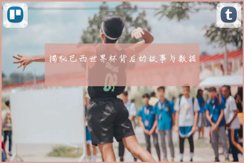 揭秘巴西世界杯背后的故事与数据
