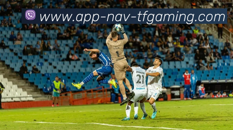 多媒体互动体验